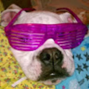 Meet your Posher, Gabriel